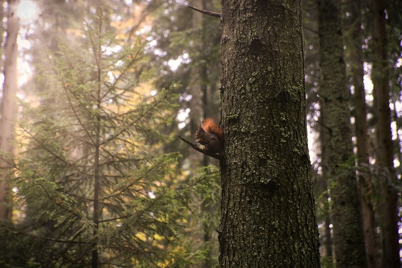 Hiking in nature